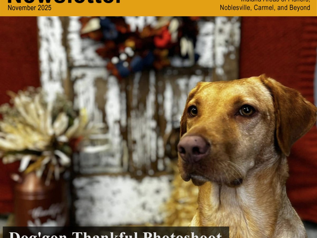 Thanksgiving Photoshoot November 20th, Bark Park Adventure&nbsp;Anytime