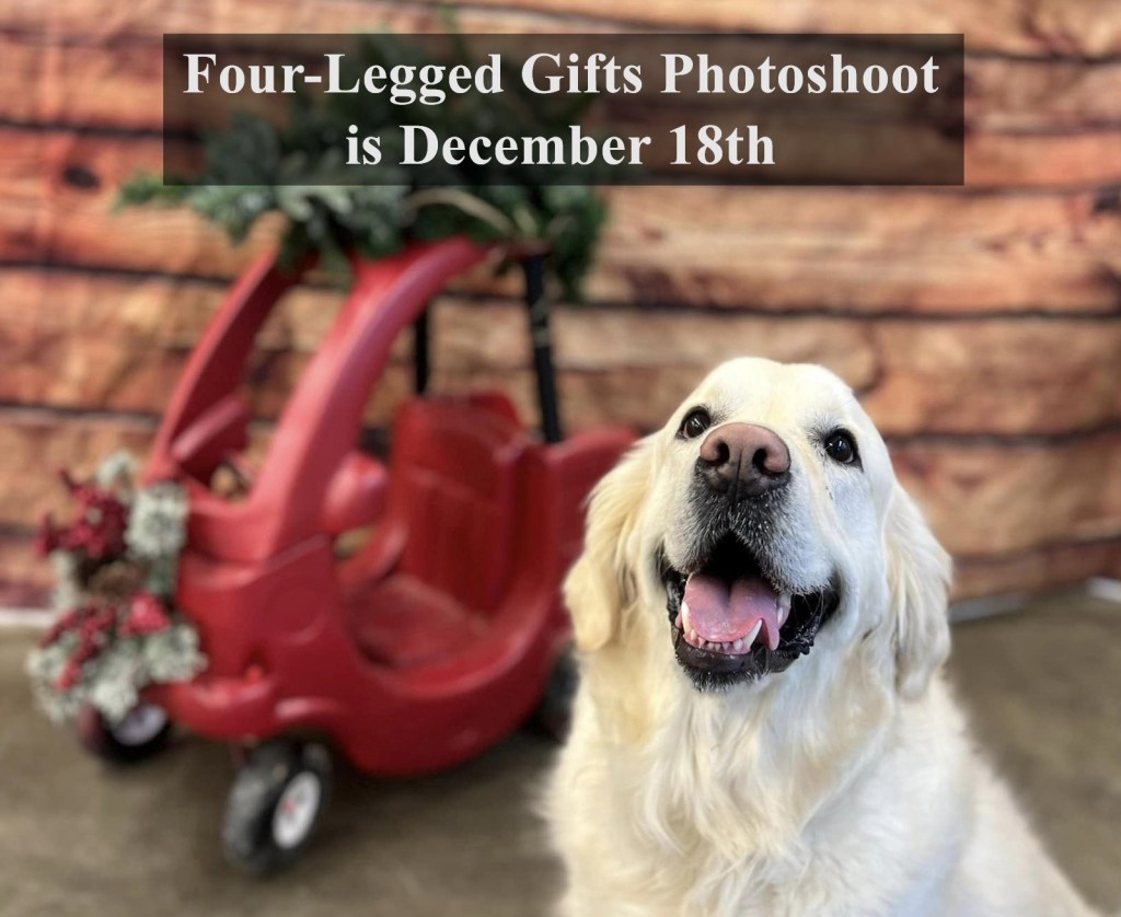 Four-Legged Gifts Photoshoot is December 18, 2025