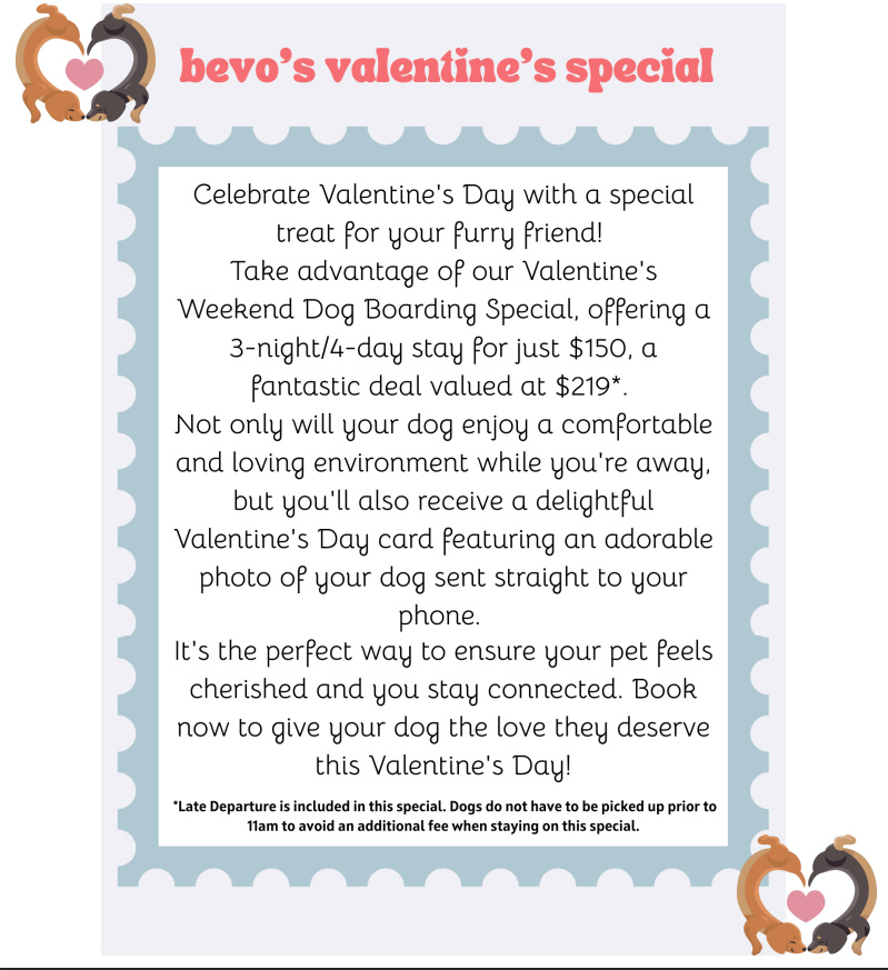 Bevo's Valentine's Special