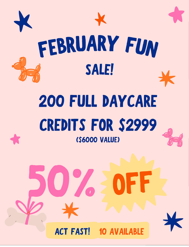 February Fun Sale! 200 Full Daycare Credits for 50% Off