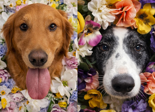 Welcome Spring Photoshoot - March 2026