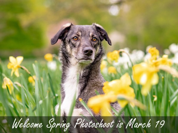 Welcome Spring Photoshoot is March&nbsp;19
