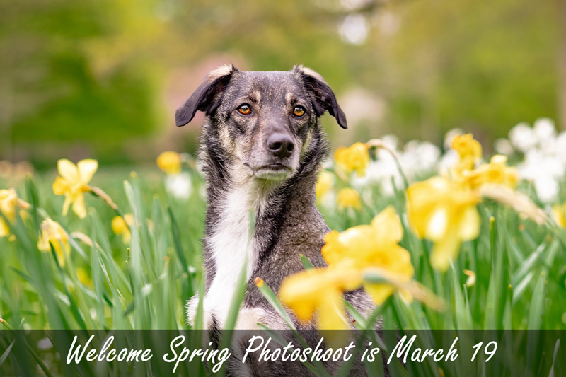 Welcome Spring Photoshoot is March 19