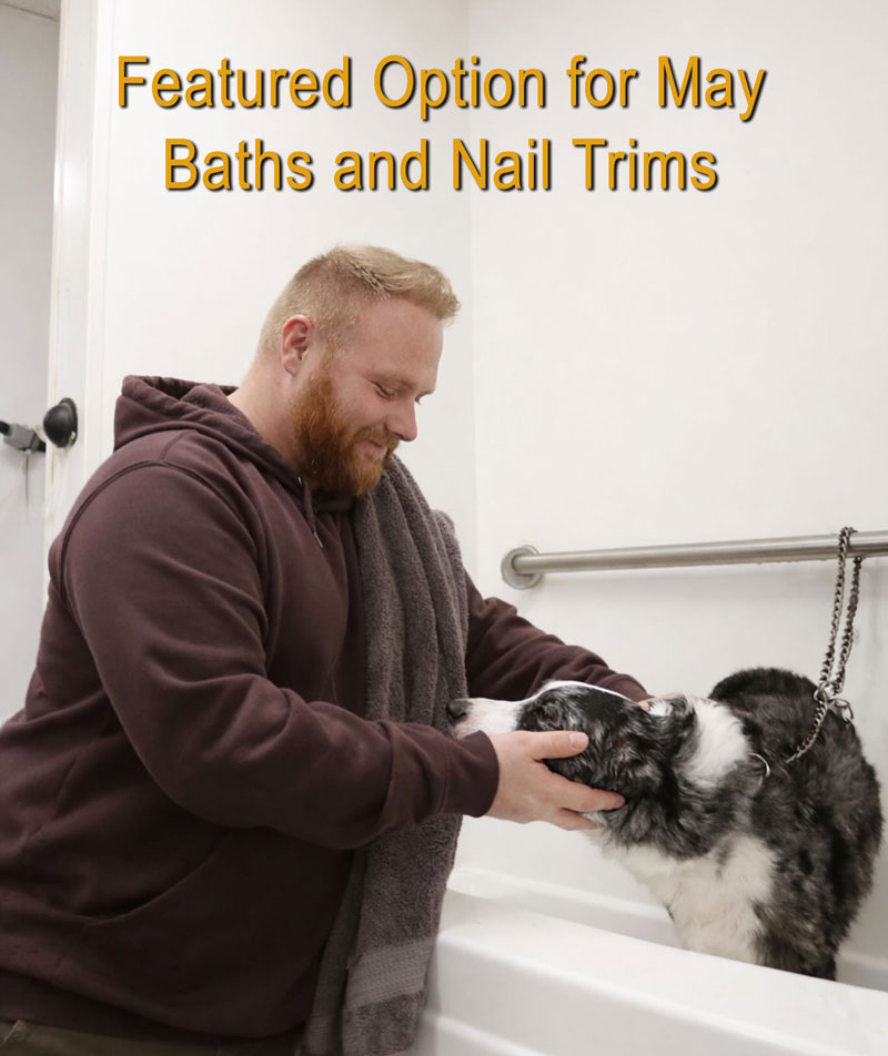 Baths and Nail Trims are Featured Option for May 2026