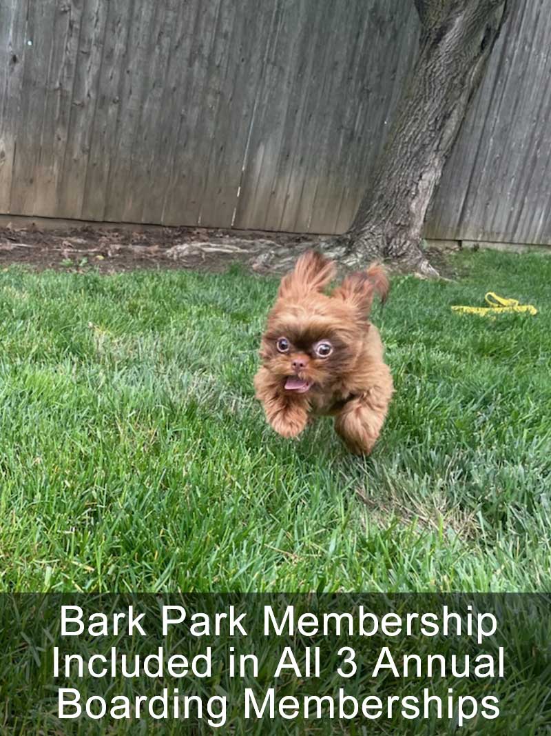 Bark Park Membership Included in All 3 Annual Boarding Memberships